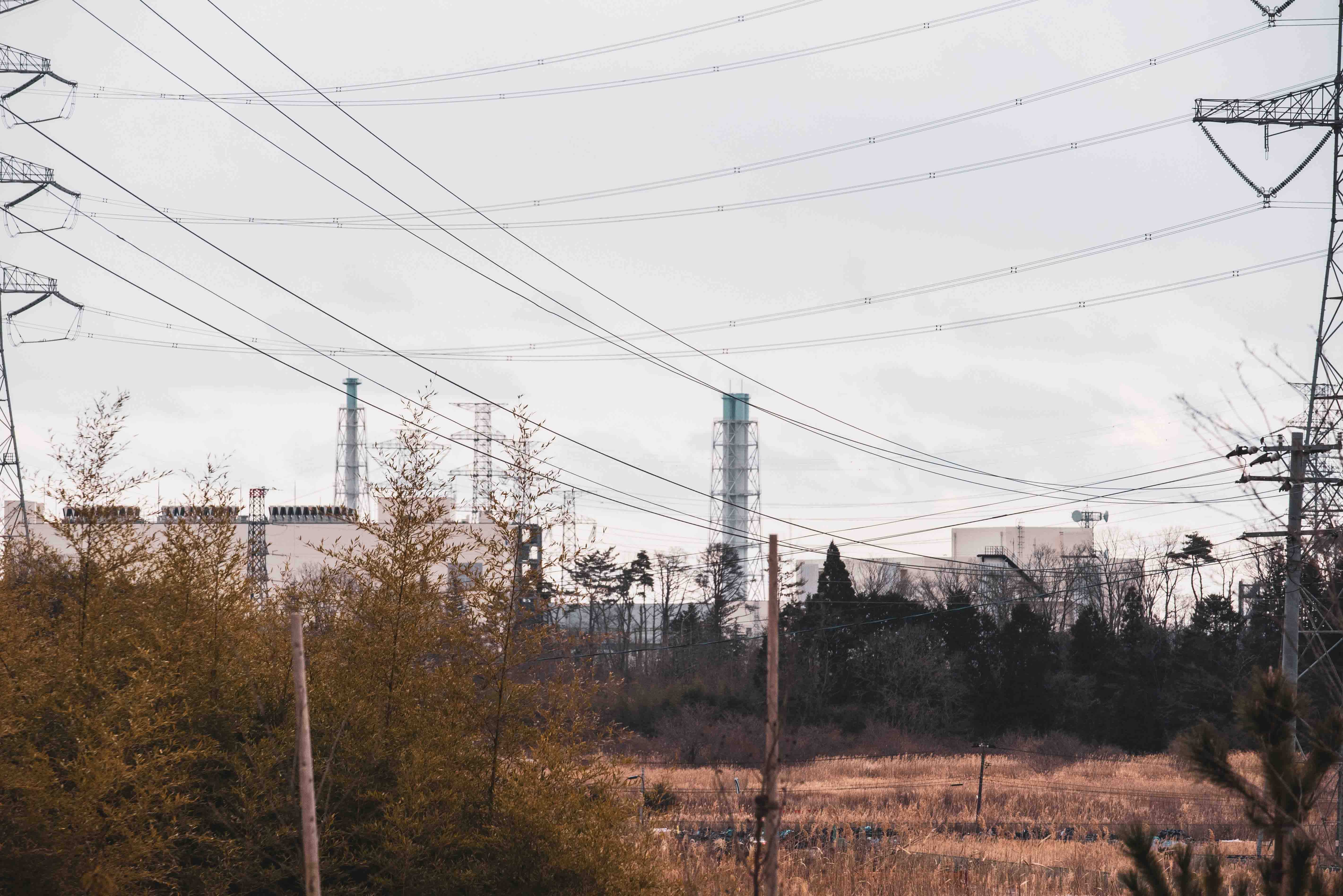 Fukushima nuclear power plant in sight with trees in foreground